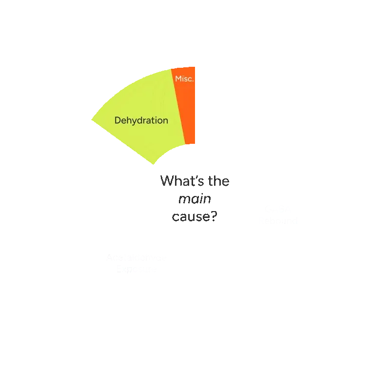 Illustration explaining the effects of alcohol